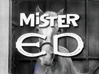 Mister Ed Logo